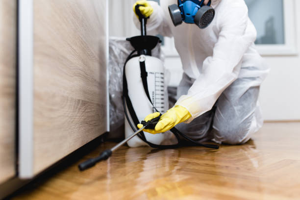 Best Best Pest Control Near Me  in Loma Ri, CA