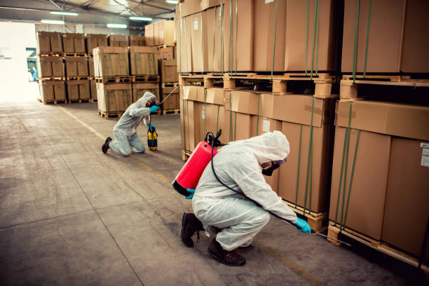 Best Cockroach Control Services  in Loma Ri, CA