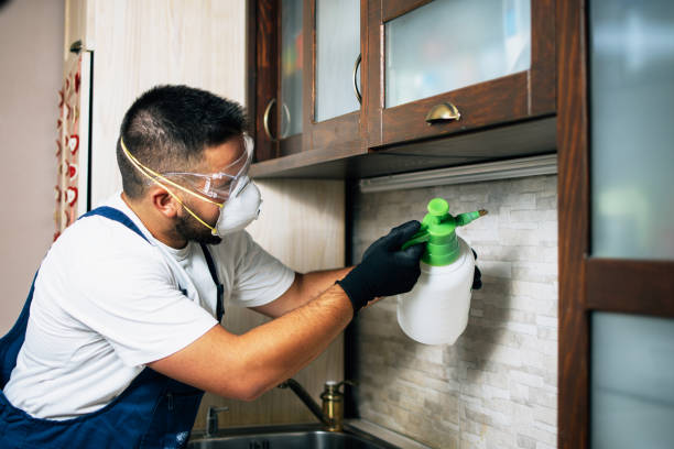 Pest Prevention Services in Loma Rica, CA