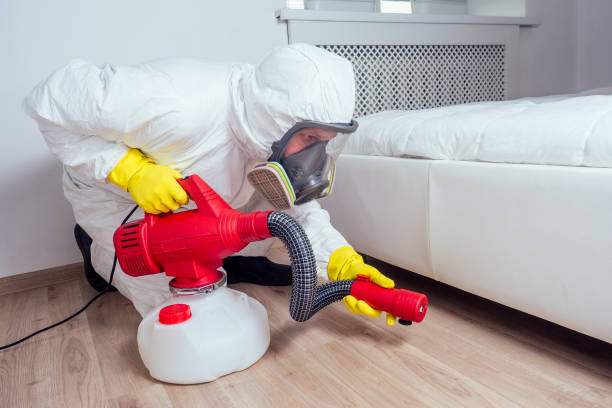 Best Mosquito Control Services  in Loma Ri, CA