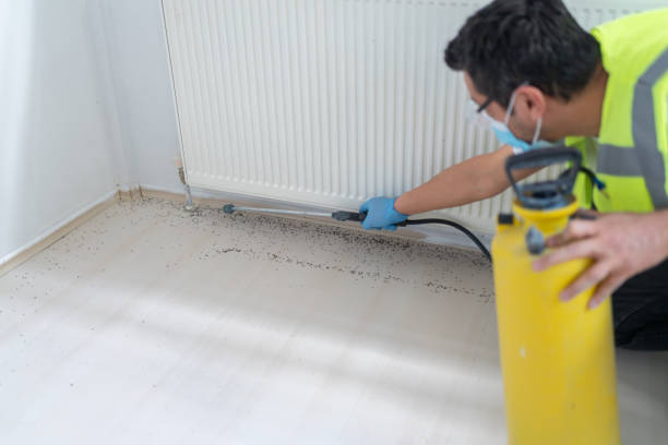 Best Residential Pest Control  in Loma Ri, CA