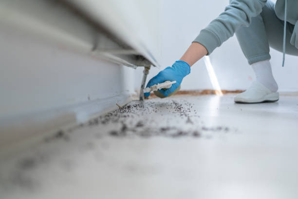 Best Emergency Pest Control  in Loma Ri, CA